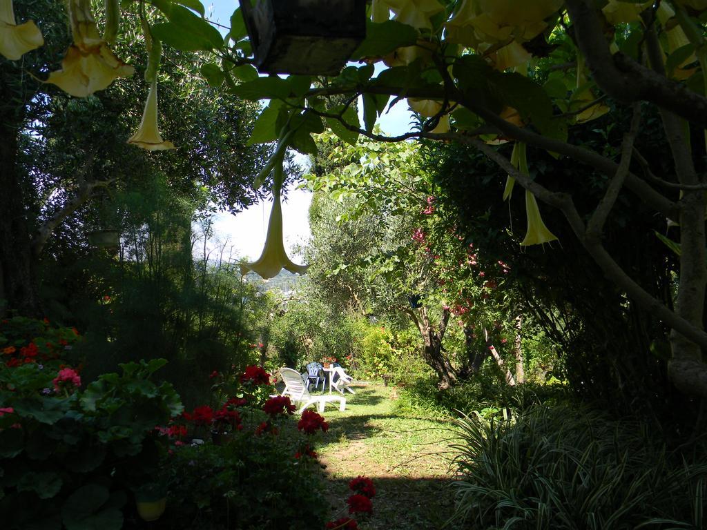 Villa Efterpi Kontokali Bagian luar foto